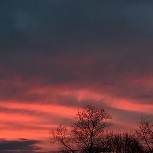 Meet your Posher, Bella